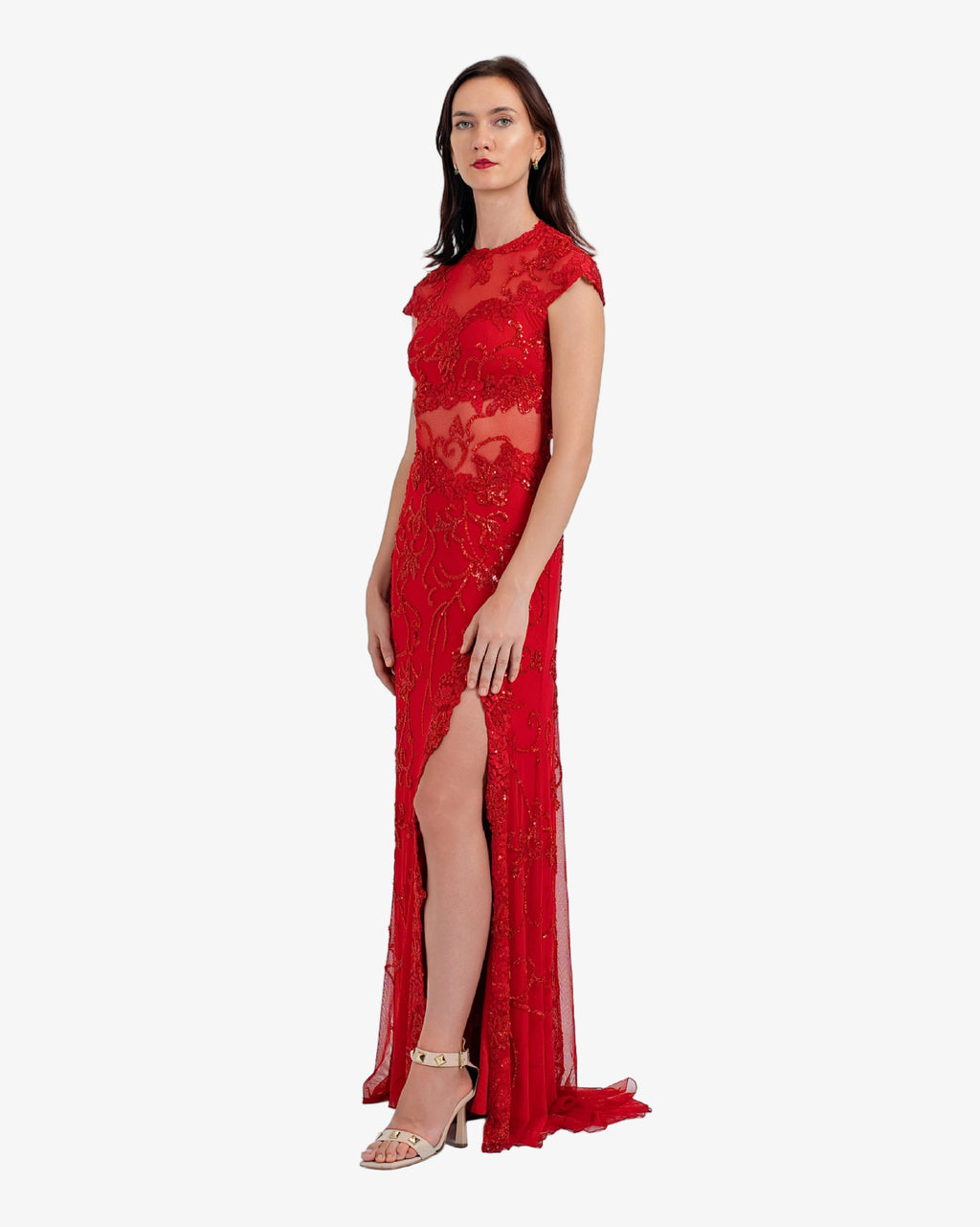 Scarlett Illusion Lace Beaded Maxi Dress